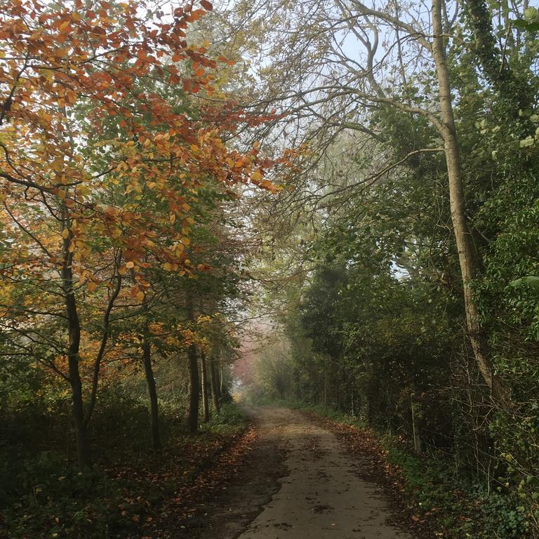 Pathways, Beachwood Cottage Μπαθ Εξωτερικό φωτογραφία