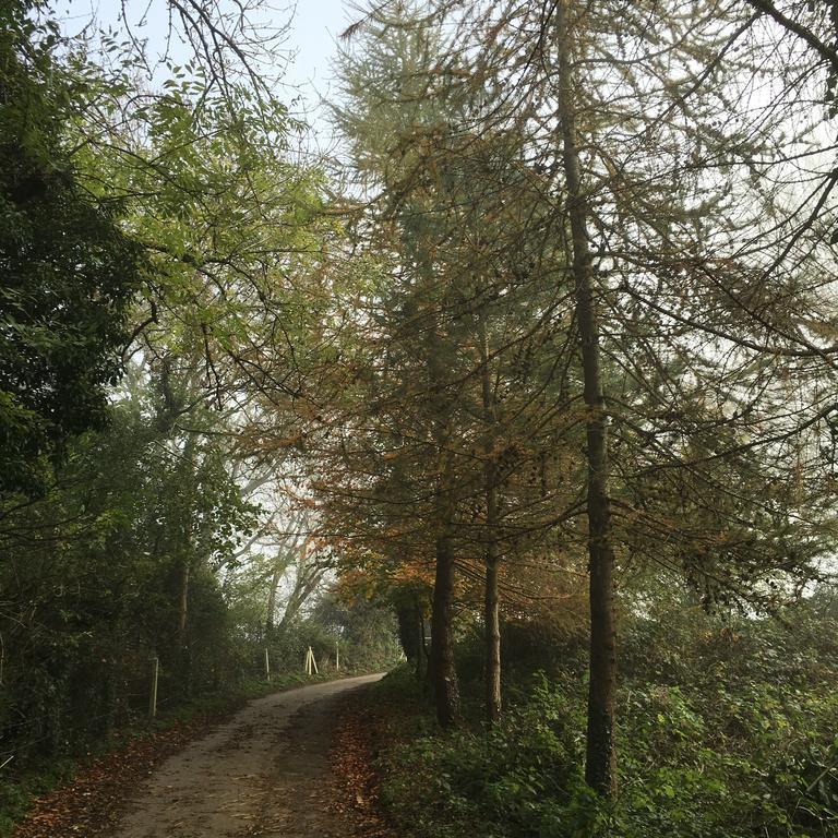 Pathways, Beachwood Cottage Μπαθ Εξωτερικό φωτογραφία